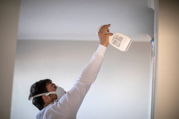 Best Black Mold Remediation in Saginaw, MI